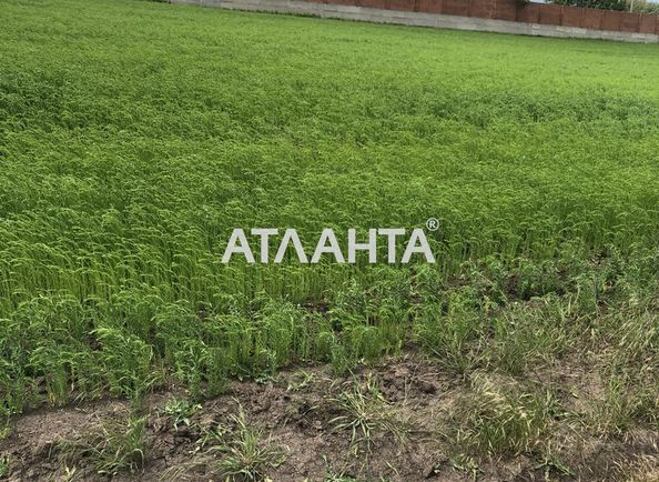 Landplot by the address (area 10 acr) - Atlanta.ua - photo 8