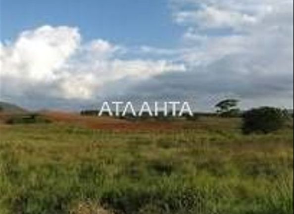 Landplot by the address (area 25,0 acr) - Atlanta.ua - photo 3