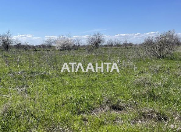 Landplot by the address (area 8,8 acr) - Atlanta.ua - photo 6