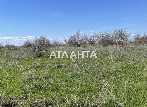 Landplot by the address (area 8,8 acr) - Atlanta.ua - photo 7