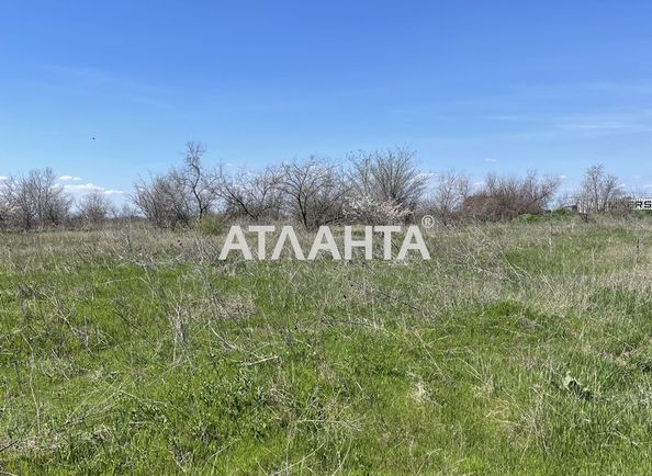 Landplot by the address (area 8,8 acr) - Atlanta.ua - photo 4