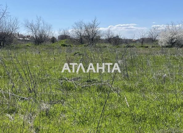 Landplot by the address (area 8,8 acr) - Atlanta.ua - photo 5