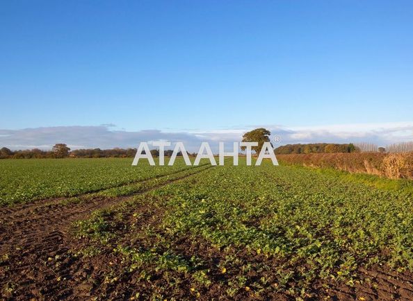 Landplot by the address st. Parkovaya (area 11,9 acr) - Atlanta.ua - photo 4