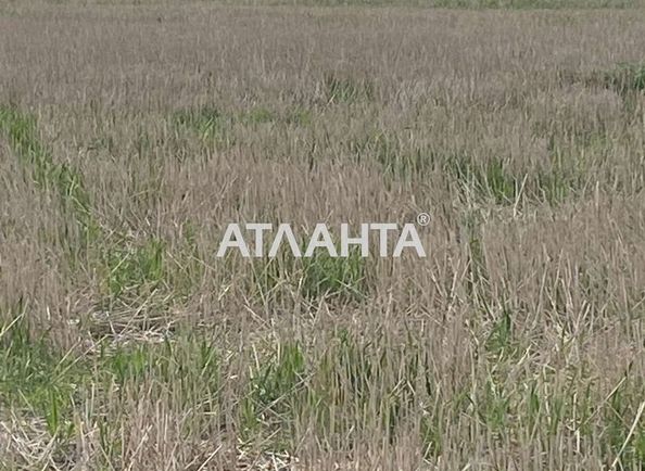 Landplot by the address (area 6,0 сот) - Atlanta.ua - photo 7