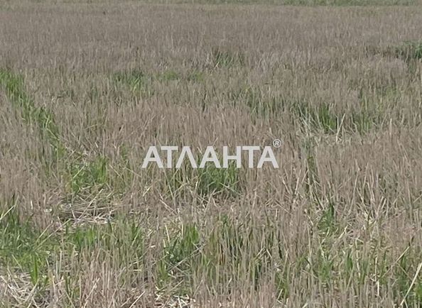 Landplot by the address (area 5,0 сот) - Atlanta.ua - photo 4