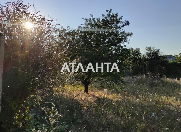 Landplot by the address st. 1 ya liniya (area 6,3 acr) - Atlanta.ua - photo 6