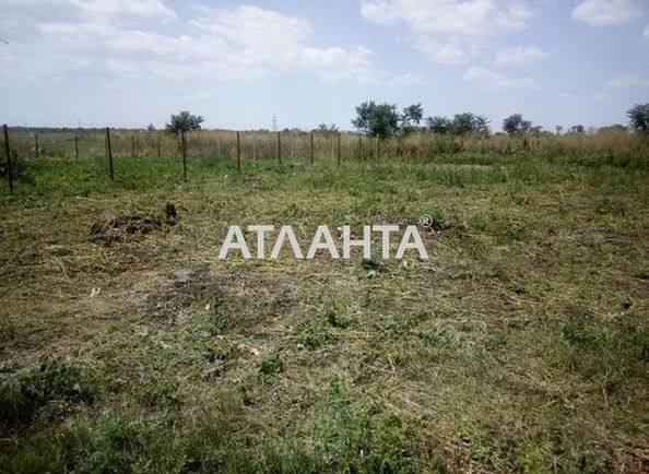 Landplot by the address st. 1 ya liniya (area 6,3 acr) - Atlanta.ua - photo 5