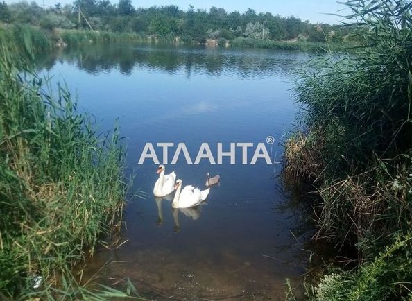 Будинок за адресою вул. Шевченка (площа 60 м²) - Atlanta.ua - фото 13