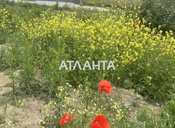 Landplot by the address st. Kozatskaya (area 10 acr) - Atlanta.ua - photo 5