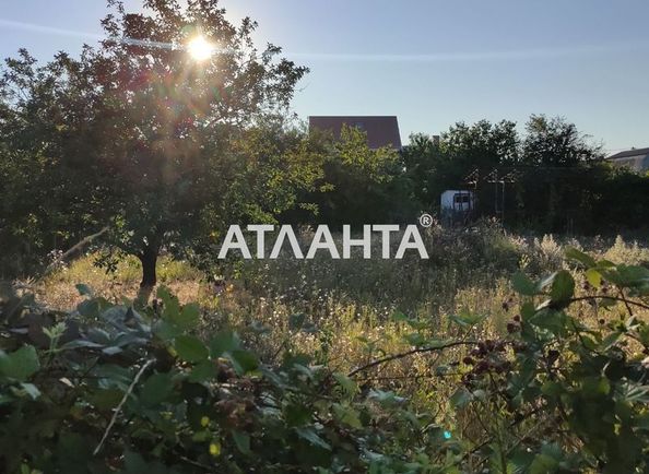 Landplot by the address st. 4 ya liniya (area 7 acr) - Atlanta.ua - photo 5