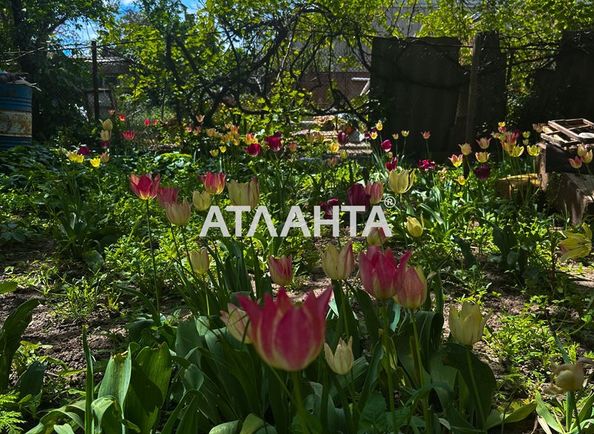 Участок по адресу Джерельный пер. (площадь 18,6 сот) - Atlanta.ua - фото 5