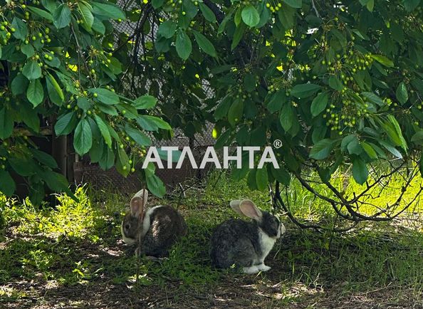 Участок по адресу Джерельный пер. (площадь 18,6 сот) - Atlanta.ua