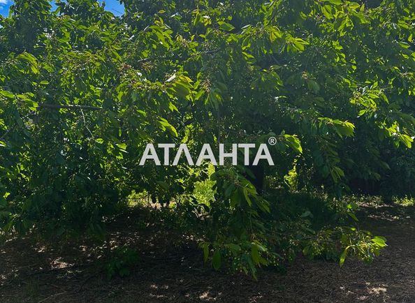 Участок по адресу Джерельный пер. (площадь 18,6 сот) - Atlanta.ua - фото 19