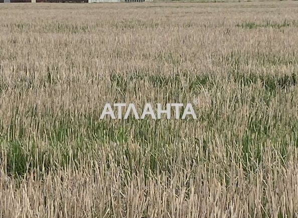 Ділянка за адресою (площа 6 сот) - Atlanta.ua