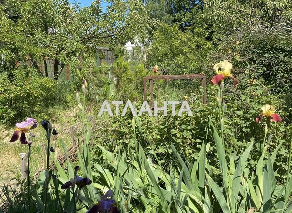 Landplot by the address st. Abrikosovaya (area 7,5 acr) - Atlanta.ua - photo 2