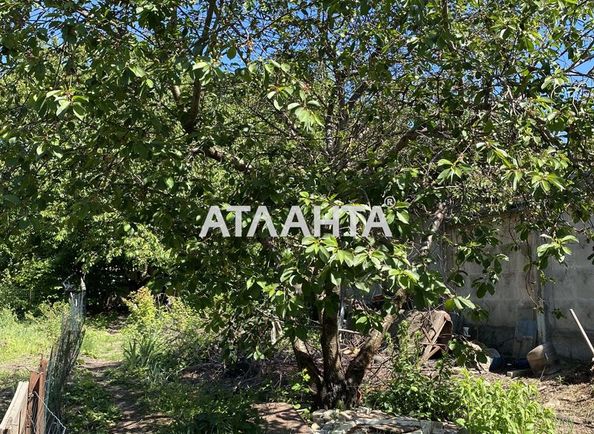 Landplot by the address st. Abrikosovaya (area 7,5 acr) - Atlanta.ua - photo 8