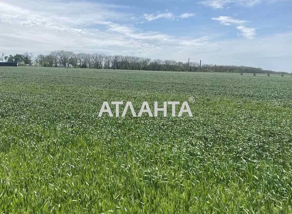 Landplot by the address st. Zimnyaya (area 10 acr) - Atlanta.ua - photo 5
