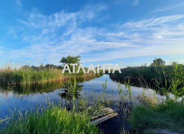 Ділянка (площа 25 сот) - Atlanta.ua