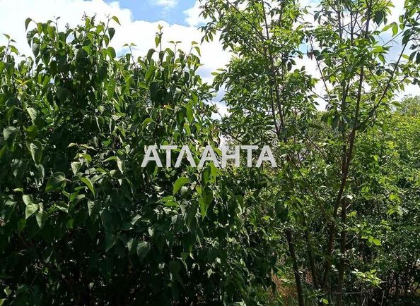 Landplot by the address st. Massiv 13 (area 160 acr) - Atlanta.ua - photo 5