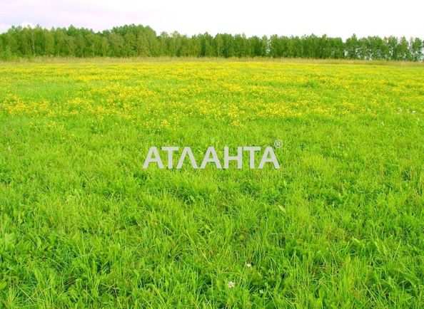 Участок по адресу ул. Ленина (площадь 16 сот) - Atlanta.ua