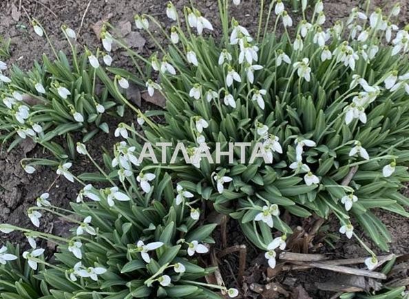 Landplot by the address st. Morskaya (area 15,0 acr) - Atlanta.ua - photo 3