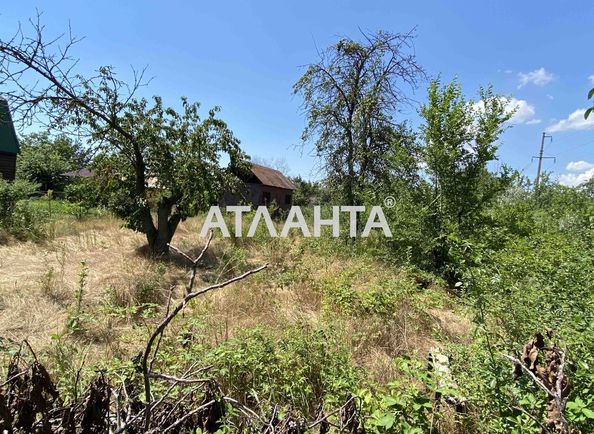 Landplot by the address (area 6 acr) - Atlanta.ua - photo 11