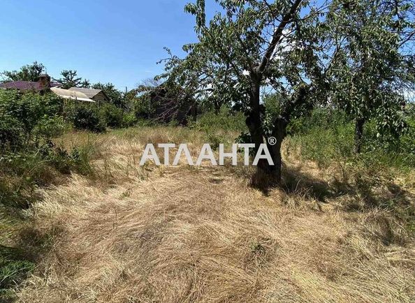 Landplot by the address (area 6 acr) - Atlanta.ua - photo 19