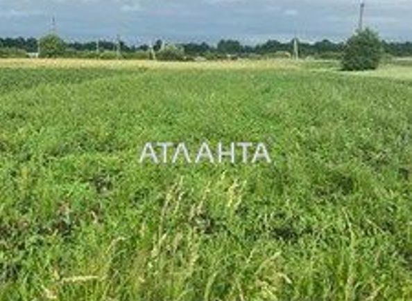 Landplot by the address (area 150 acr) - Atlanta.ua - photo 3