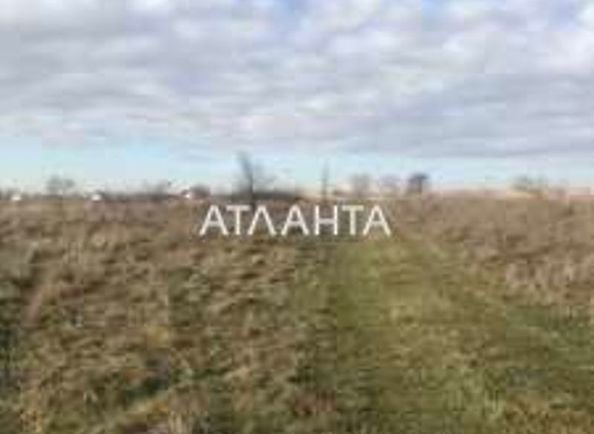Landplot by the address (area 150 acr) - Atlanta.ua - photo 4