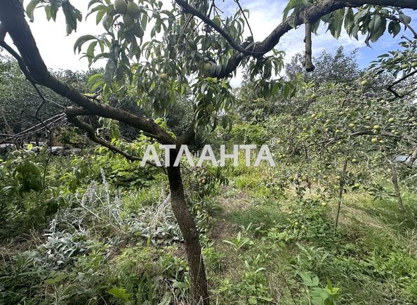 Landplot by the address st. Okruzhnaya (area 12,2 acr) - Atlanta.ua - photo 7