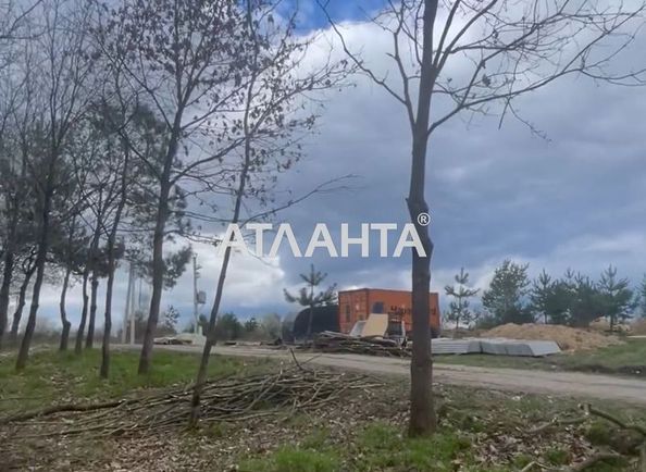 Landplot by the address st. Tsentralnaya (area 10 acr) - Atlanta.ua - photo 2