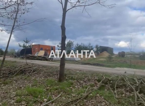 Landplot by the address st. Tsentralnaya (area 10 acr) - Atlanta.ua - photo 6