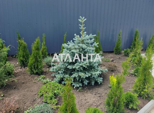 2-кімнатна квартира за адресою вул. Вишнева (площа 70 м²) - Atlanta.ua - фото 20
