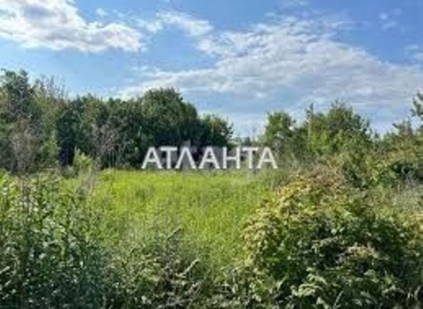 Landplot by the address (area 10 acr) - Atlanta.ua - photo 4