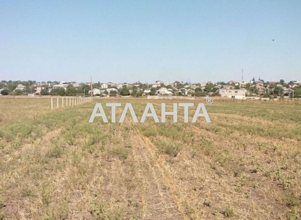 Landplot by the address (area 50 acr) - Atlanta.ua - photo 4