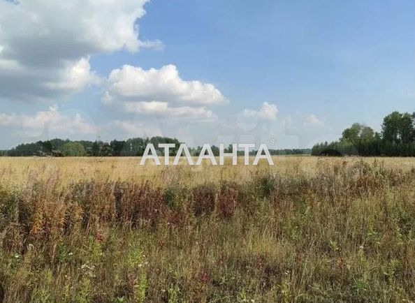 Landplot by the address (area 11,3 acr) - Atlanta.ua - photo 3