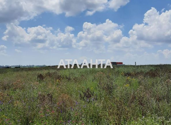 Landplot by the address (area 11,3 acr) - Atlanta.ua - photo 4