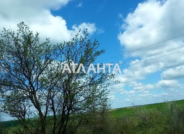 Landplot by the address st. Massiv 18 (area 5 acr) - Atlanta.ua - photo 2
