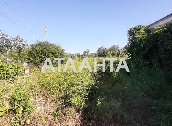 Landplot by the address st. Vinogradnaya (area 9 acr) - Atlanta.ua - photo 2