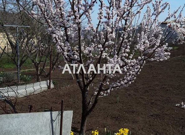 Landplot by the address st. Vinogradnaya (area 9 acr) - Atlanta.ua - photo 5