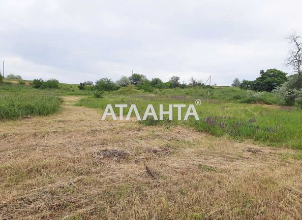 Landplot by the address (area 30 acr) - Atlanta.ua - photo 6