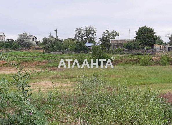 Landplot by the address (area 16,5 acr) - Atlanta.ua - photo 4