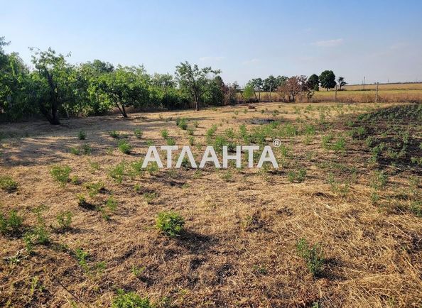 Landplot by the address (area 10,8 acr) - Atlanta.ua