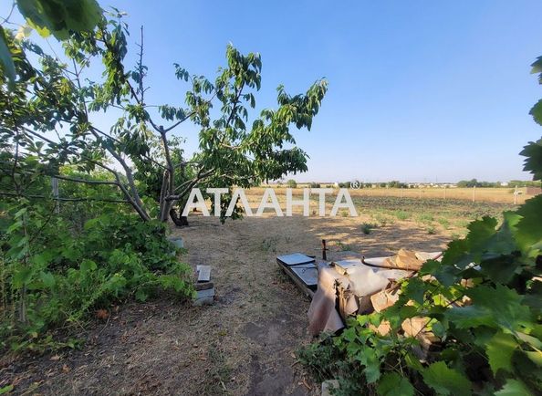 Landplot by the address (area 10,8 acr) - Atlanta.ua - photo 2
