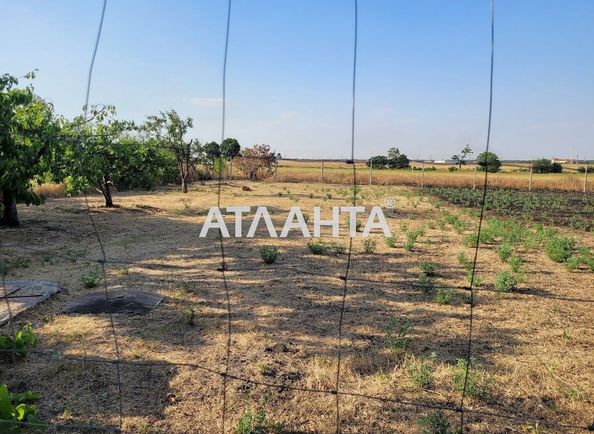 Landplot by the address (area 10,8 acr) - Atlanta.ua - photo 3