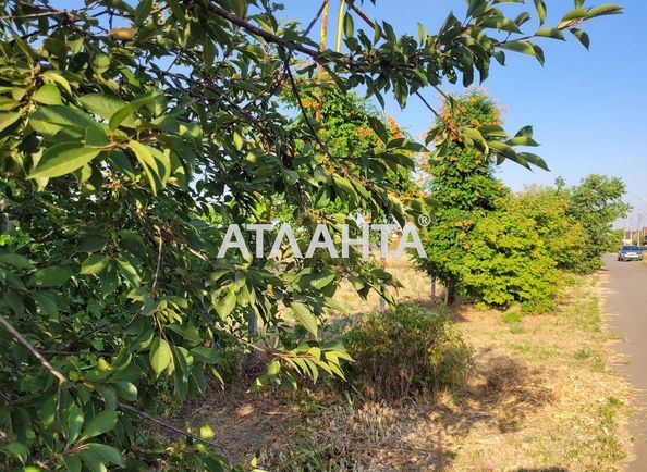 Landplot by the address (area 10,8 acr) - Atlanta.ua - photo 4