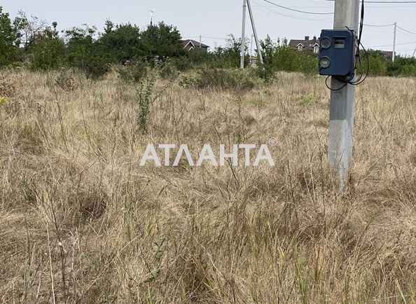 Landplot by the address st. Novaya (area 10 acr) - Atlanta.ua - photo 6