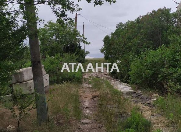 Landplot by the address st. Persikovaya (area 5,5 acr) - Atlanta.ua - photo 3