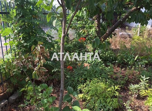 Dacha by the address st. 1 ya liniya (area 29 m²) - Atlanta.ua - photo 6