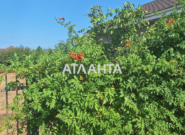 Dacha by the address st. 1 ya liniya (area 29 m²) - Atlanta.ua - photo 11